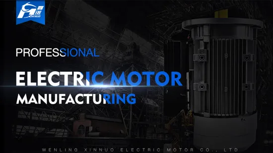 Y3 B3/B35 Frame Premium Efficiency Three Phase Electric Motor in Agricultural Machinery 