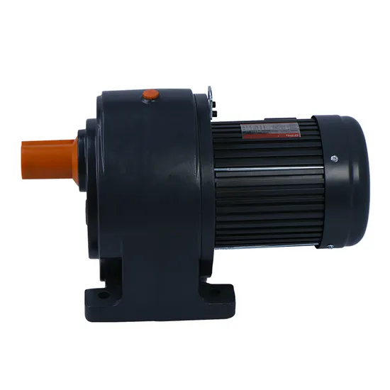 High Power Reversible Horizontal Type AC Gear Motor for BBQ Machines 