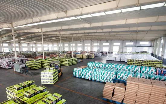 Hot Sale 220V 150mm Industrial Bench Surface Grinder for Drill Grinding 